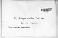 Image Associated With the Occurence